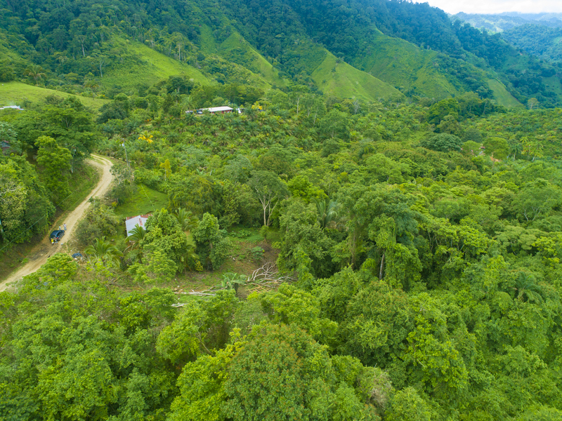 Land For Sale in Golfito Costa Rica